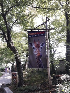 Zoo Lešná